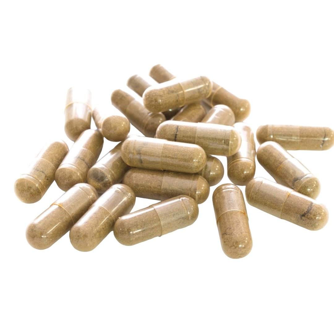 Reishi Vitalpilz Extrakt BIO - Onlinepilze